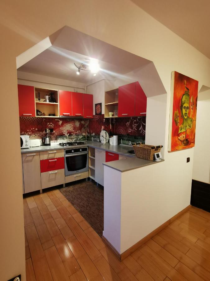 Comfy & Pleasant Apartment 10 Min Walk To Downtown Timişoara Eksteriør billede