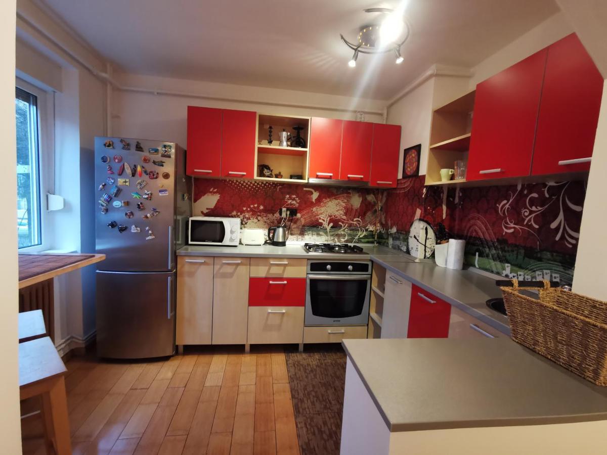 Comfy & Pleasant Apartment 10 Min Walk To Downtown Timişoara Eksteriør billede
