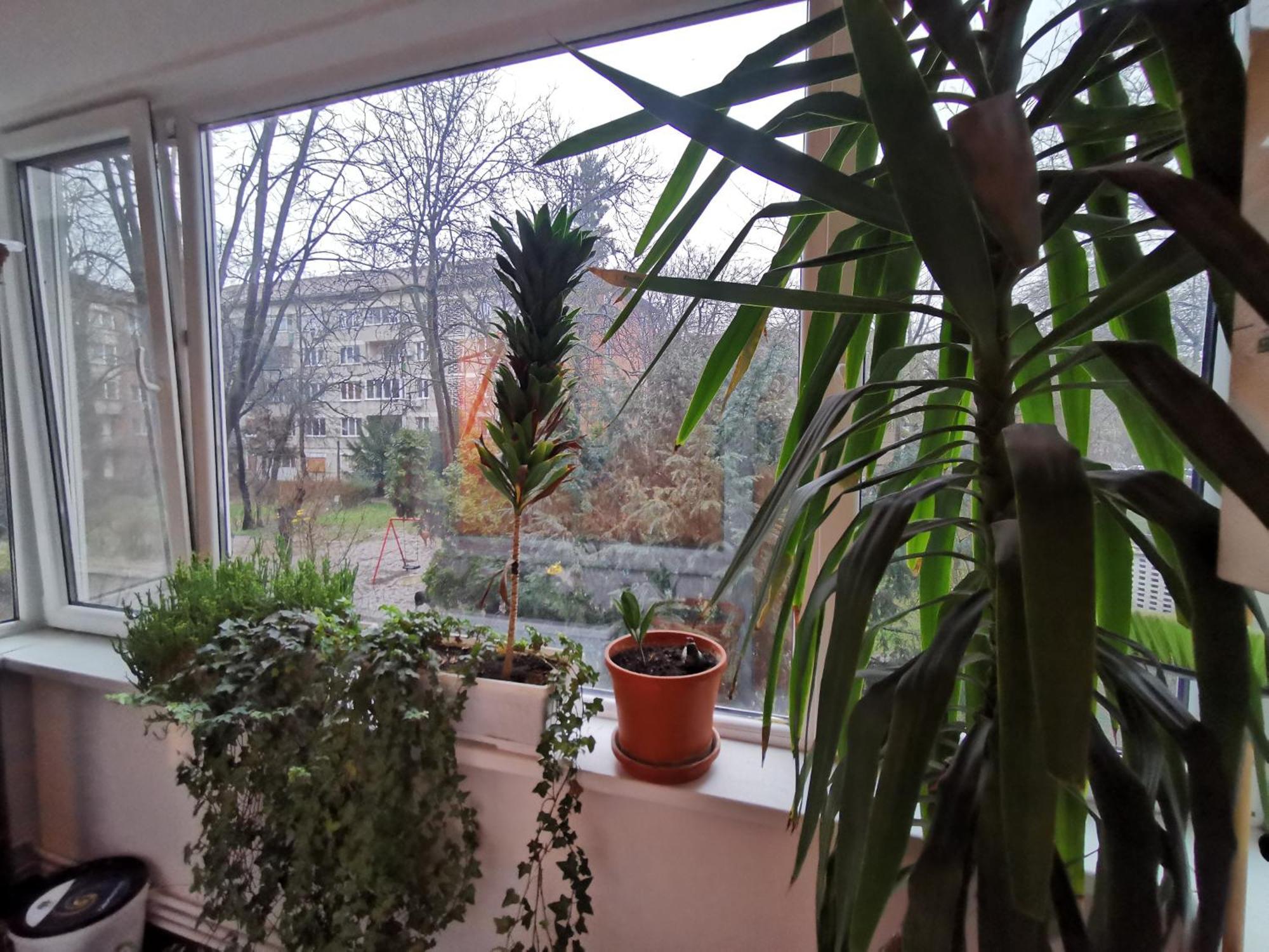Comfy & Pleasant Apartment 10 Min Walk To Downtown Timişoara Eksteriør billede