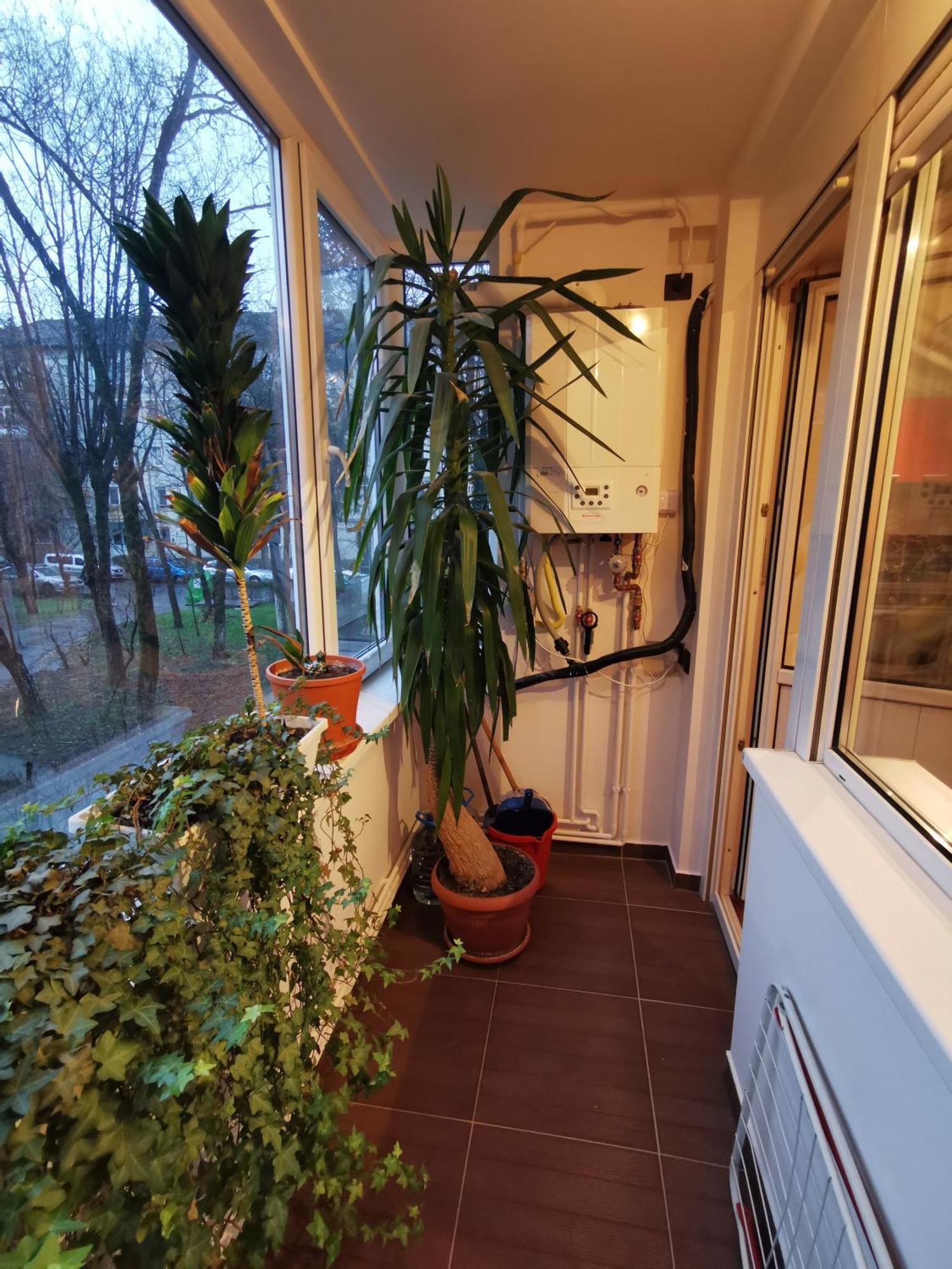 Comfy & Pleasant Apartment 10 Min Walk To Downtown Timişoara Eksteriør billede