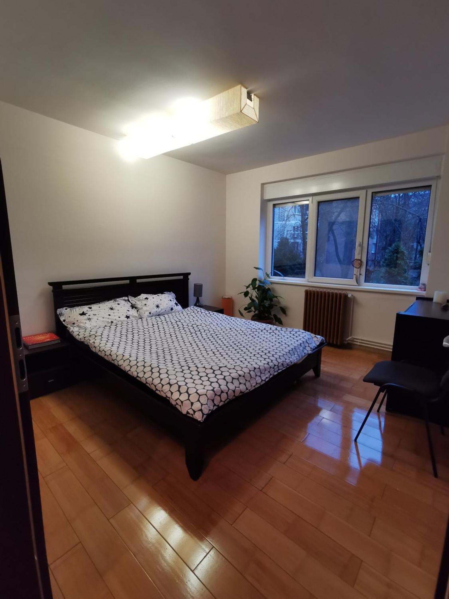 Comfy & Pleasant Apartment 10 Min Walk To Downtown Timişoara Eksteriør billede